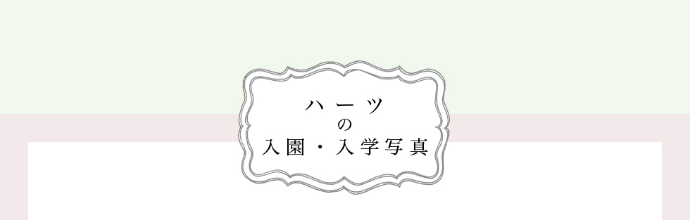 ハーツの入園・入学