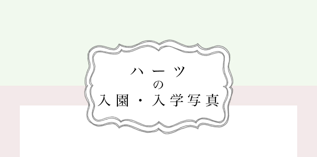 ハーツの入園・入学